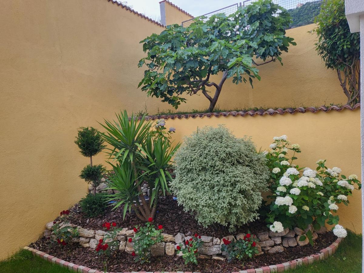 Apartmani Niksic Herceg Novi Zewnętrze zdjęcie